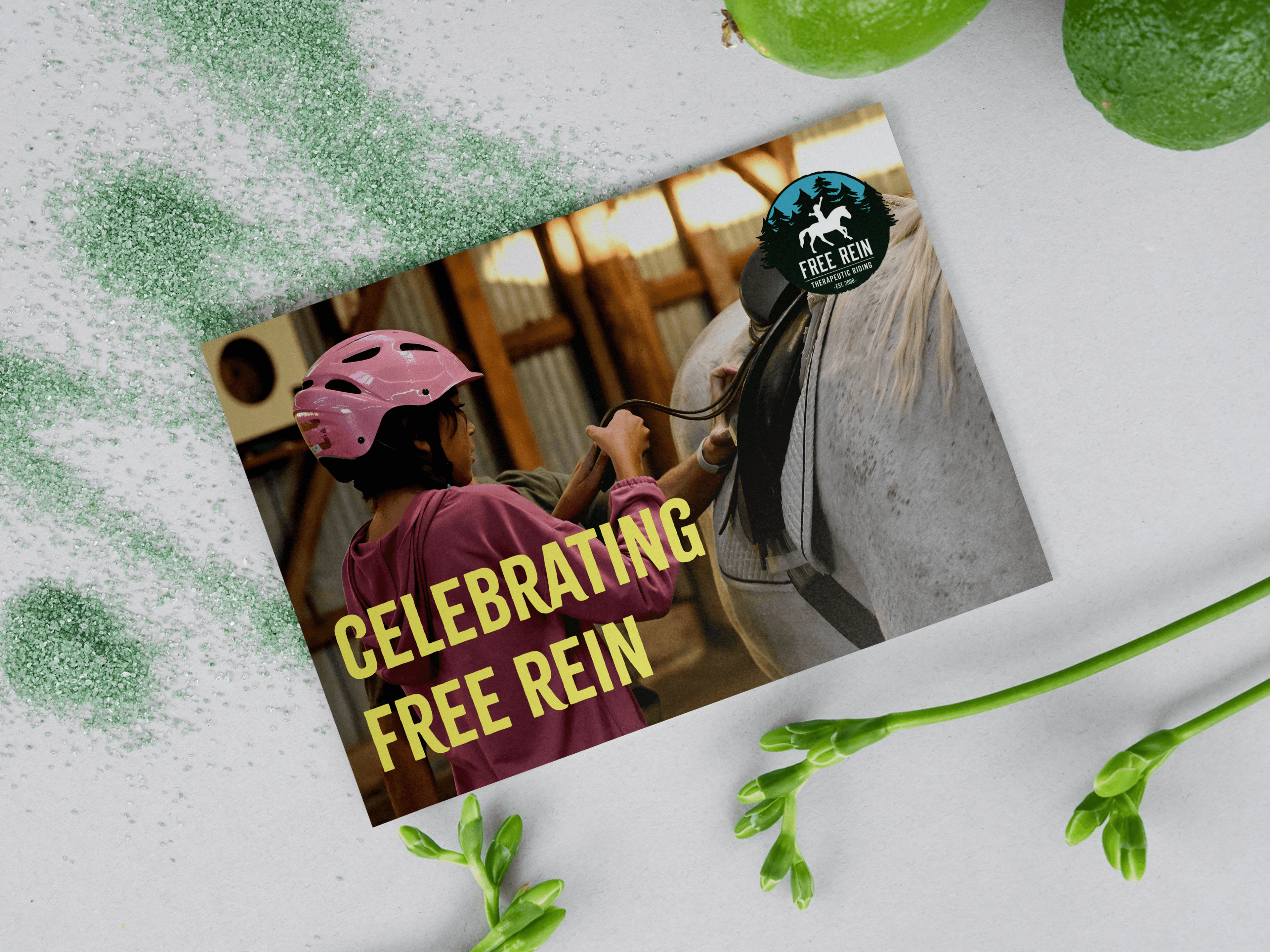 AAF Create 2024: Free Rein